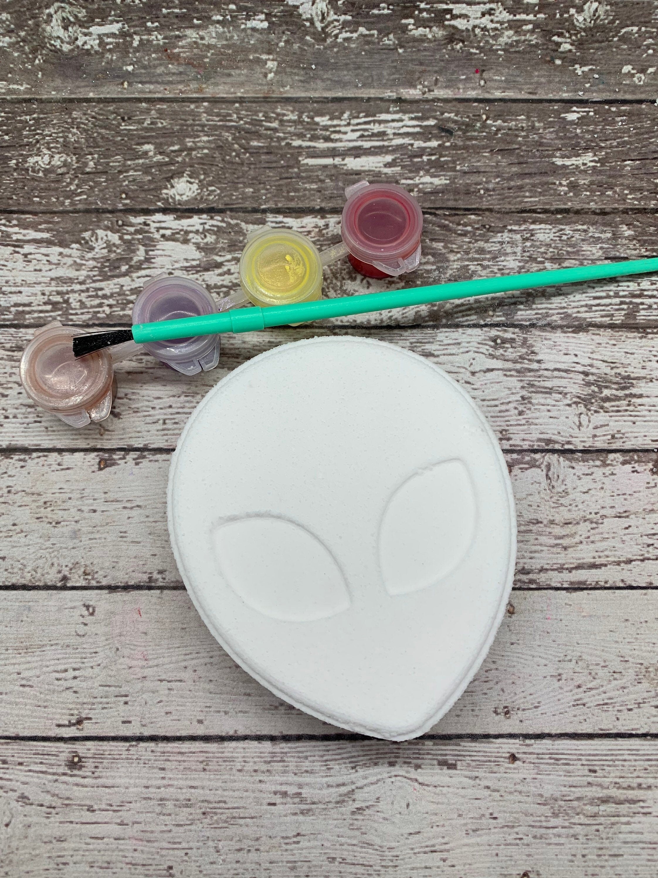 Alien, paint your own bath bomb kit. It comes as a blank white bath bomb canvas along with 3 random colors in pot, paint brush, witch hazel, and instructions.