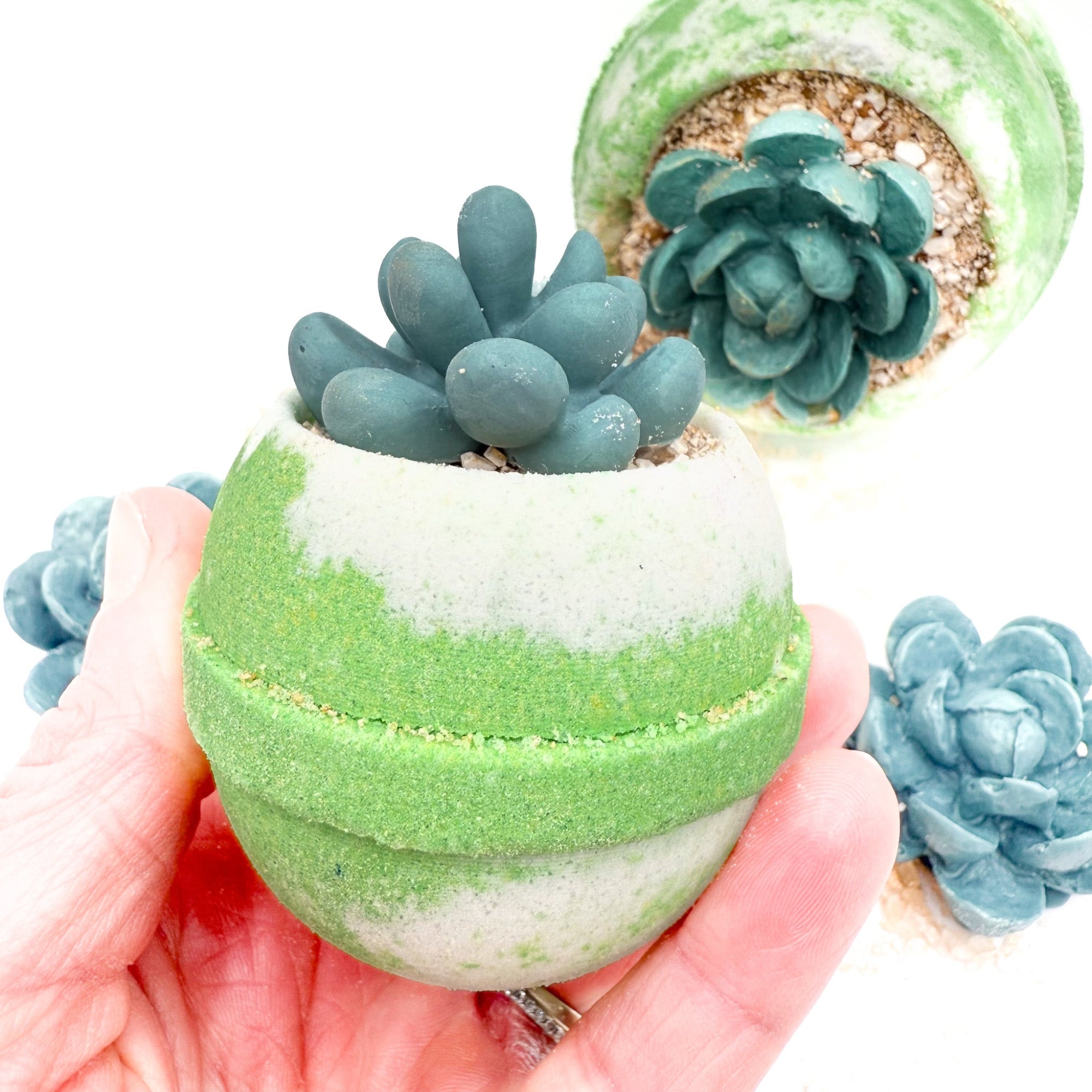 Small succulent bath bomb in hand, made by Rusted Acre Soap Company.