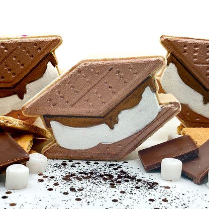 Hand painted Smores shaped bath bomb with s’mores decorations around it on a white background. 