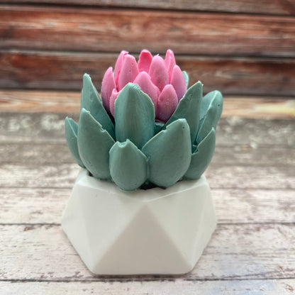 One broad leaf succulent soap with a pink flower center and a white soap pot, hand made by Rusted Acre Soap Co. 