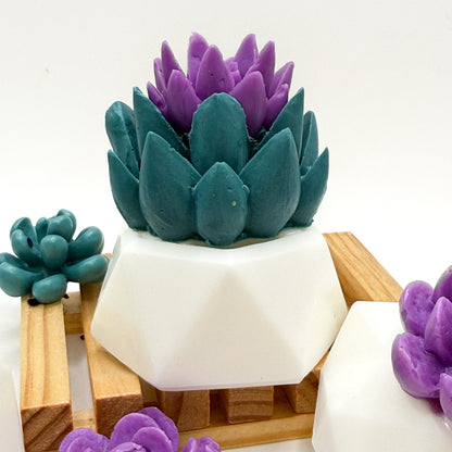 Decorative succulent soap on a wooden soap lift on a white soap pot with a white background.
