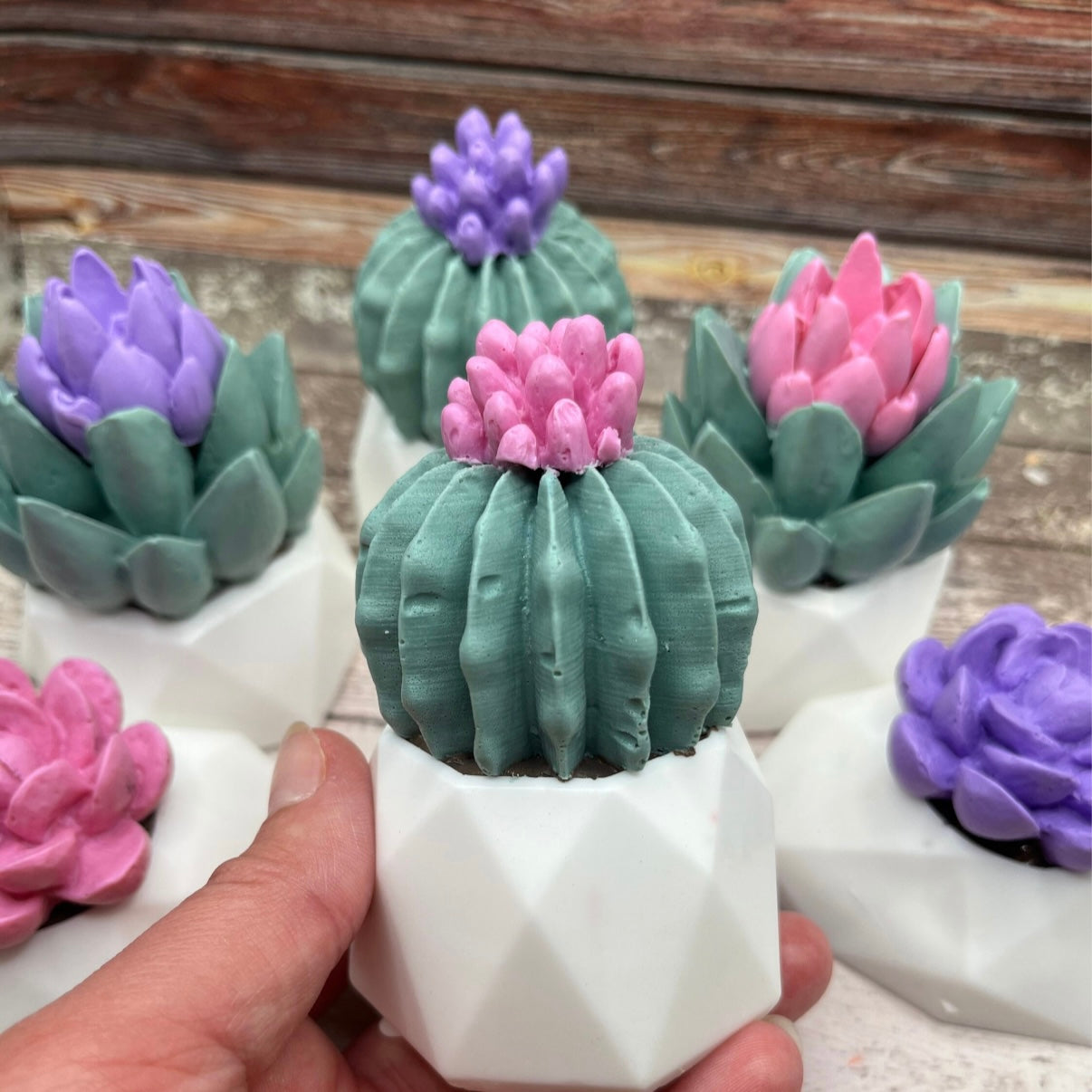 One cactus succulent soap with a pink flower and white soap pot in a hand. Succulent soap pots in various colors behind it. Handmade by Rusted Acre Soap Co. 